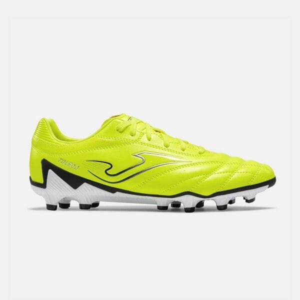 TOLEDO 2609 FLUOR YELLOW FG S